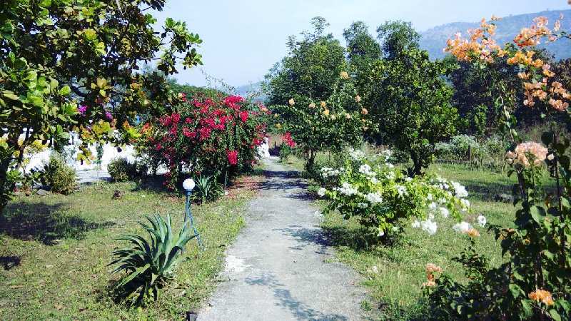 Agricultural/Farm Land for Sale in Karjat, Raigad (5 Acre)