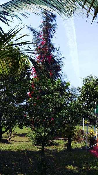 Property for sale in Karjat, Raigad