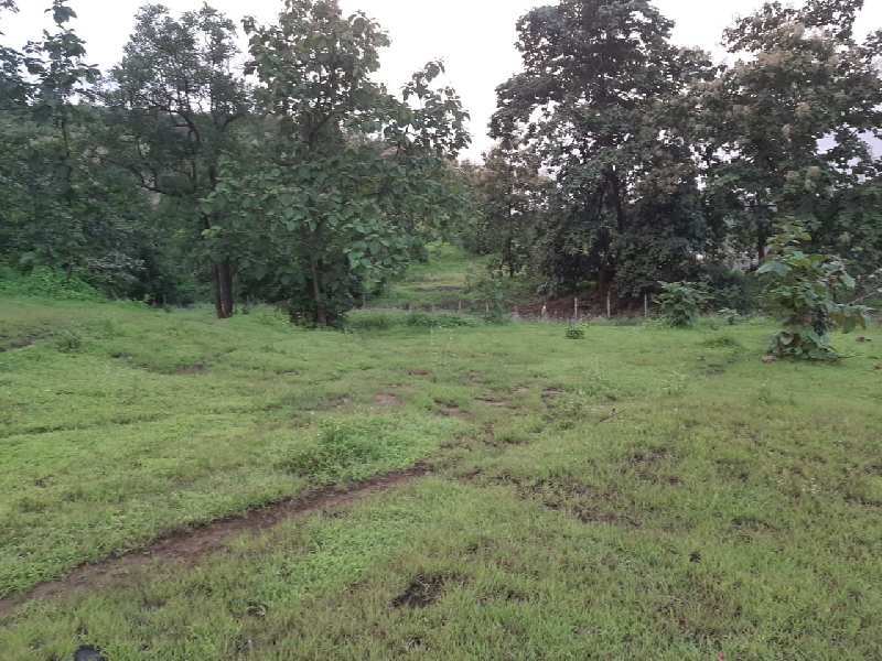 Agricultural/Farm Land for Sale in Karjat, Raigad (2 Acre)