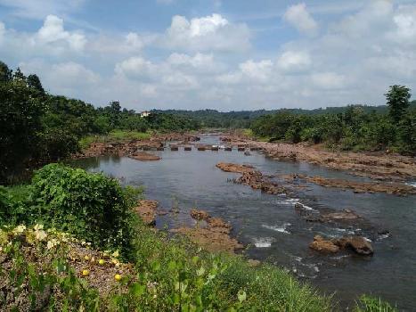 Agricultural/Farm Land for Sale in Karjat, Navi Mumbai (12000 Sq.ft.)