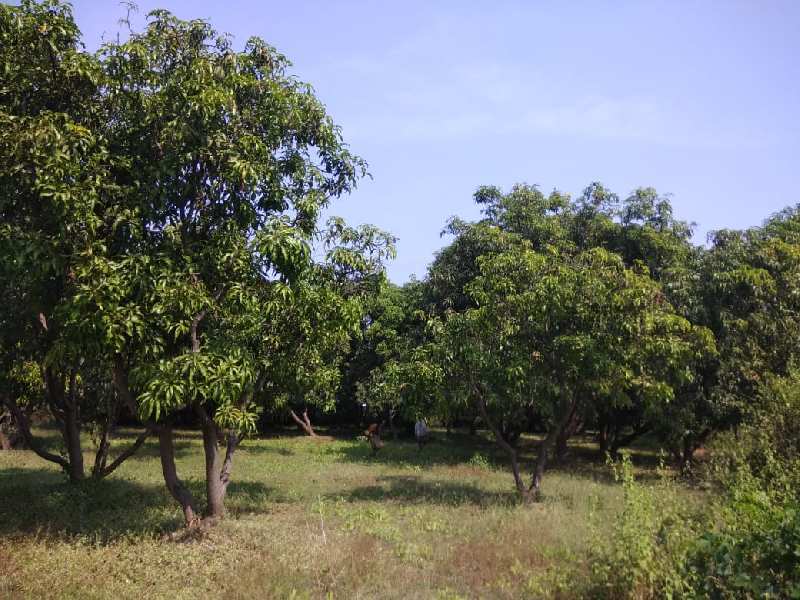 Agricultural/Farm Land for Sale in Karjat, Raigad (3.5 Acre)