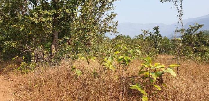 Waterfalls & Mountains view 12.5 acre Agriculture land for sale at Village Mohili, karjat.