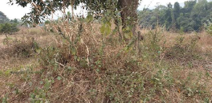 Rivertouch 19 gunthe Agriculture land for sale at Village Adiwali, karjat.