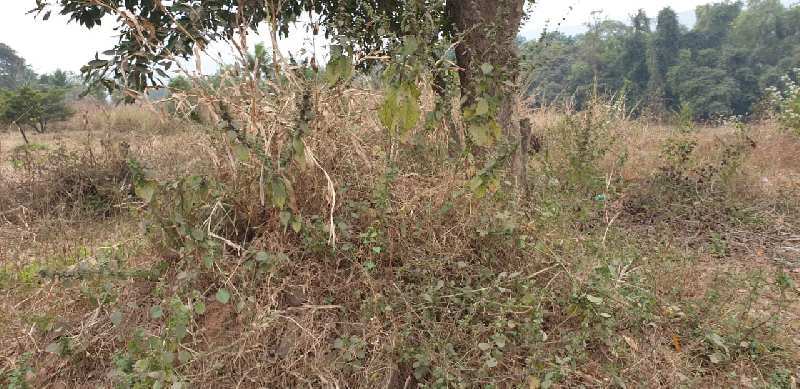 Rivertouch 19 gunthe Agriculture land for sale at Village Adiwali, karjat.