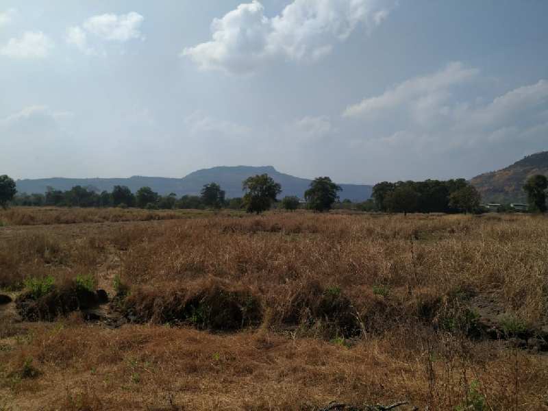 Mountains view 3 acre Agriculture land for sale near Raddison Blu Resort, KARJAT.