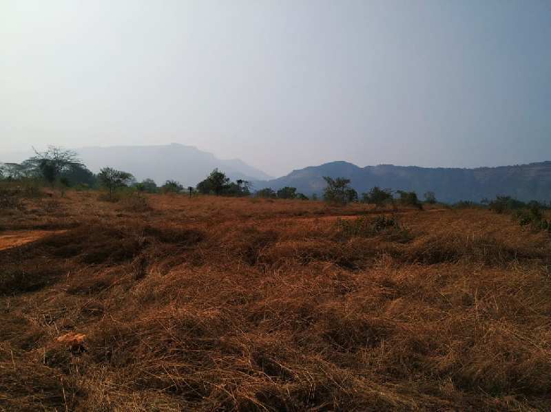 Mountains view 27 gunthe agriculture land for sale at village Wanjarwadi, Karjat.