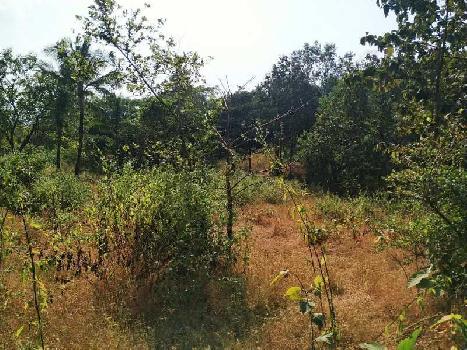 40 gunthe Mountains view Agriculture land for sale at village Bhaliwadi, Karjat.