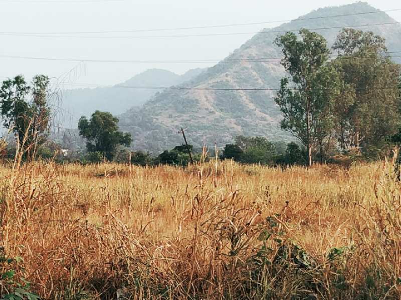 1 acre Karjat-Murbad road touch land for sale at Village Kadav.