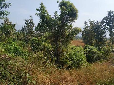 Agricultural/Farm Land for Sale in Karjat, Navi Mumbai (40 Guntha)