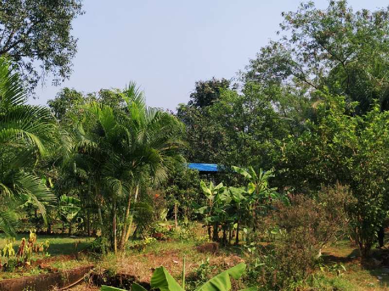 Well maintained 1 acre Farmhouse for sale at Village Kondiwade, Karjat.