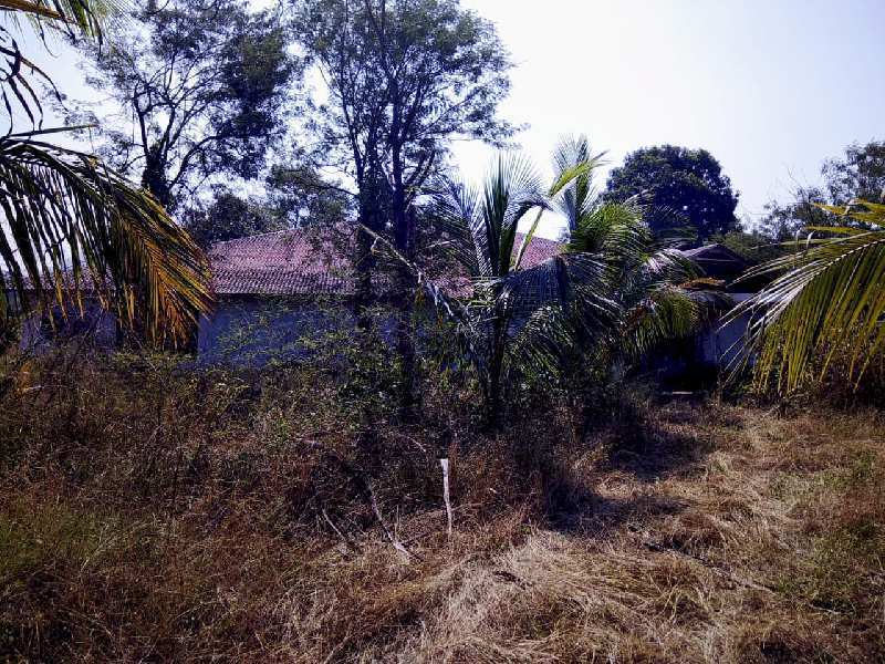 1 acre farmhouse for sale at Village Nadode, Khalapur.