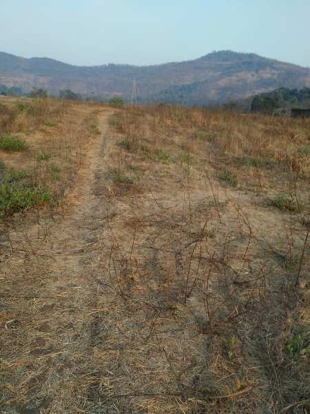 2.5 acre NA Industrial land for sale at village Ajiwali, Khalapur.