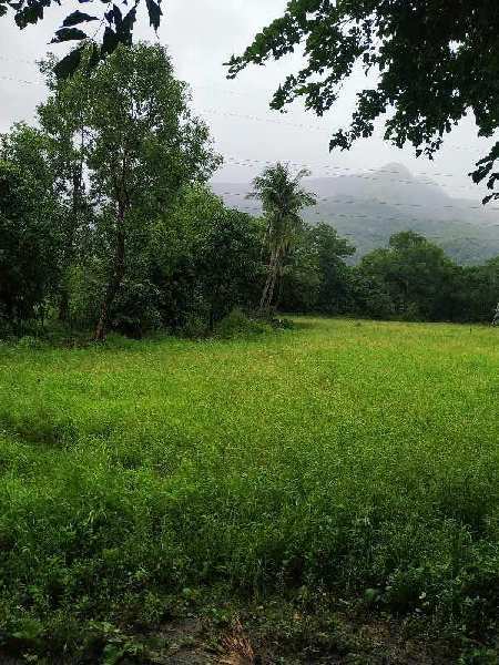 Canal touch 22 gunthe agriculture land for sale at village Potal, Karjat.