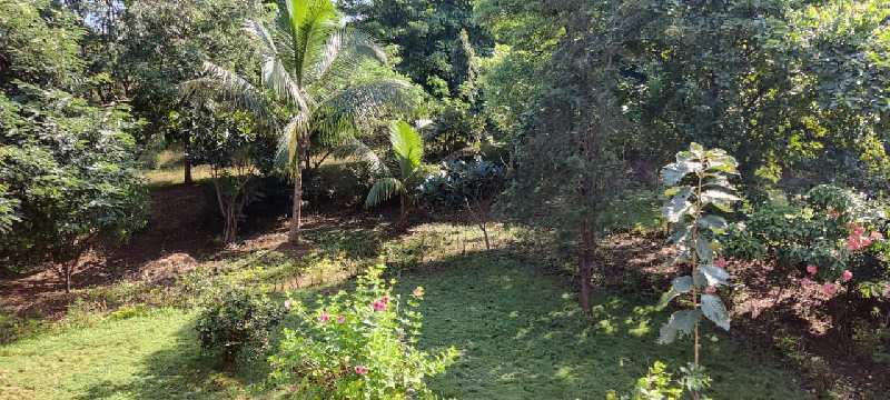 26 guntha farmhouse for sale just 2 min walkable from 12 month flowing river, Karjat.