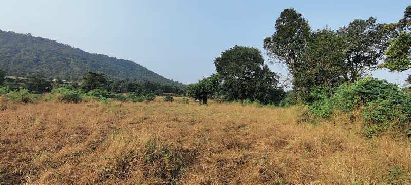 Village touch 3.5 Acre agriculture land for sale at Kothimbe Road, Karjat.