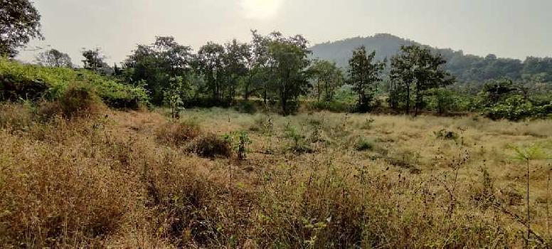 6.5 Acre agriculture land for sale at Kothimbe Road, Karjat.