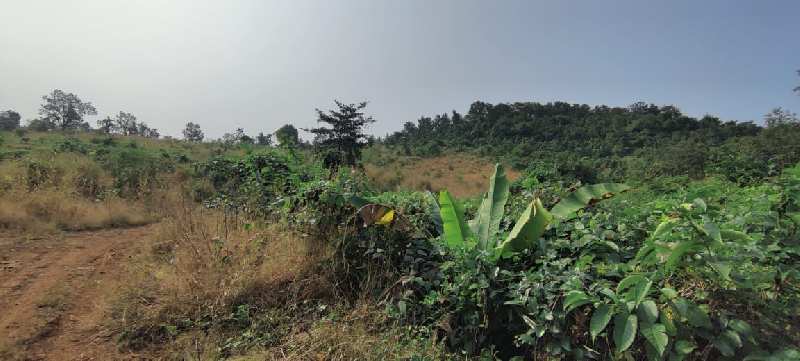 Hill view 11 acre agriculture land for sale at Kothimbe Road, Karjat.