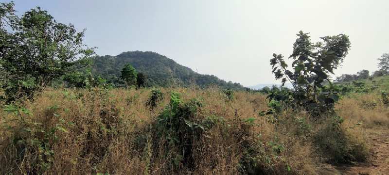 Hill view 11 acre agriculture land for sale at Kothimbe Road, Karjat.