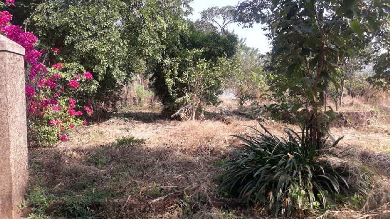 35 Guntha land with Trees, Compound, Gate for sale, near Karjat-Chowk Road.