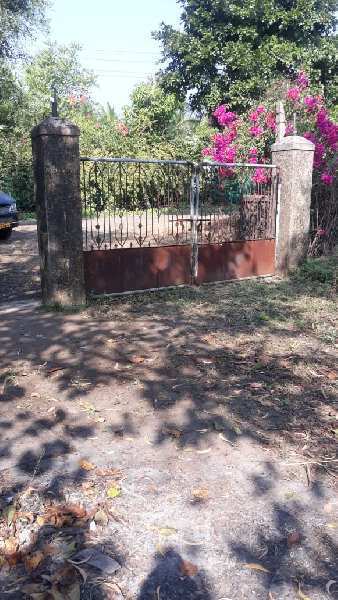 35 Guntha land with Trees, Compound, Gate for sale, near Karjat-Chowk Road.