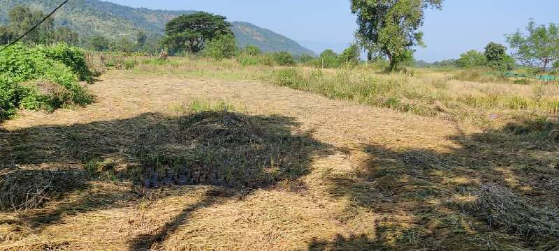 Mountain view 31 Gunthe agriculture land for sale at village Gaulwadi, Karjat.