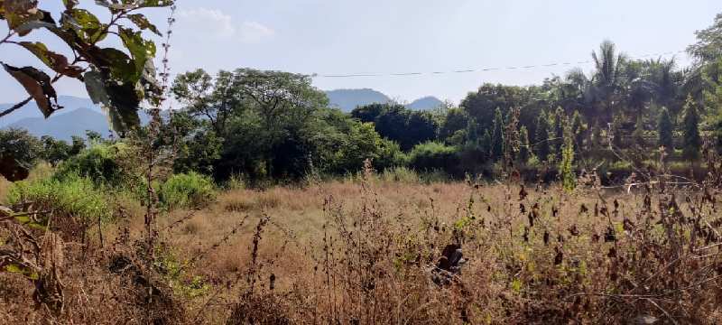 51 Guntha agriculture land for sale at village TAKVE, Karjat.
