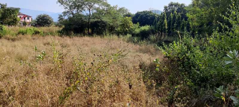 24 Guntha agriculture land for sale at village TAKVE, Karjat.