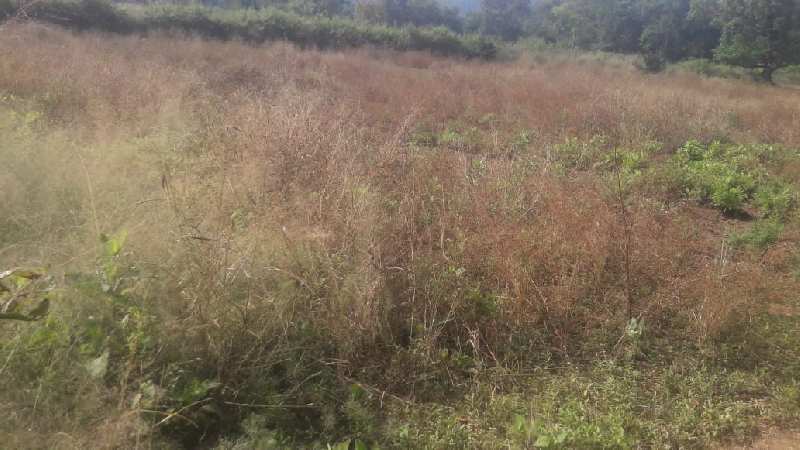 Canal touch 28 gunthe agriculture land for sale at village Potal, Karjat.