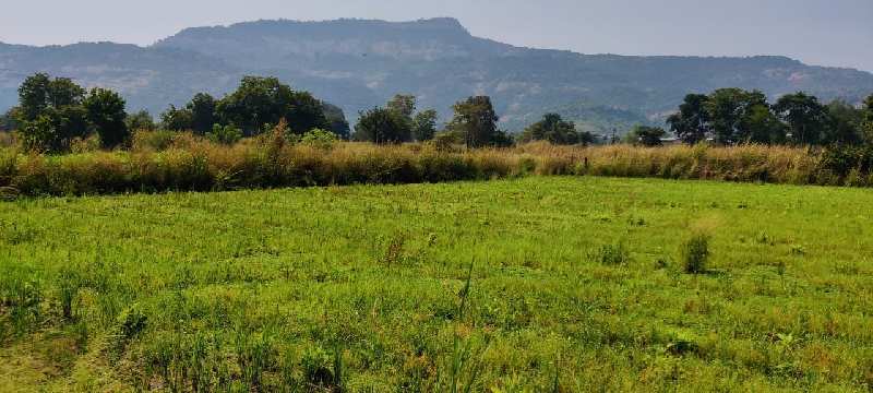 RiverTouch 10 acre agriculture land for sale at Village Mohili, Karjat.