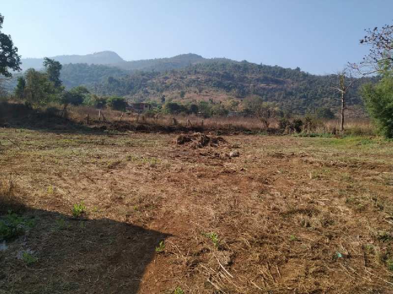 Gaothan touch 60 Gunthe agriculture land for sale at Village Mohili, Karjat.