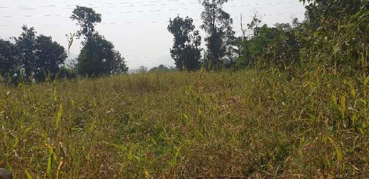 Road touch 1 acre Agriculture land for sale at Village Mulgaon, Karjat.
