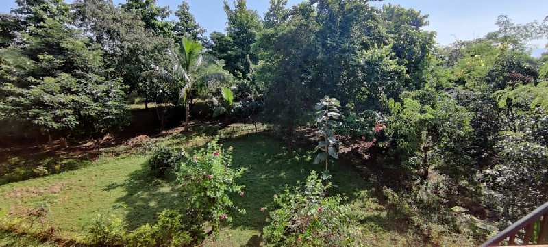 NA  22 guntha farmhouse for sale just 2 min walkable from 12 month flowing river, Karjat.