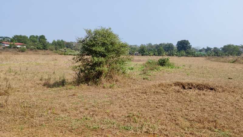 5 acre Farming Land for sale at village Salwad, Karjat.