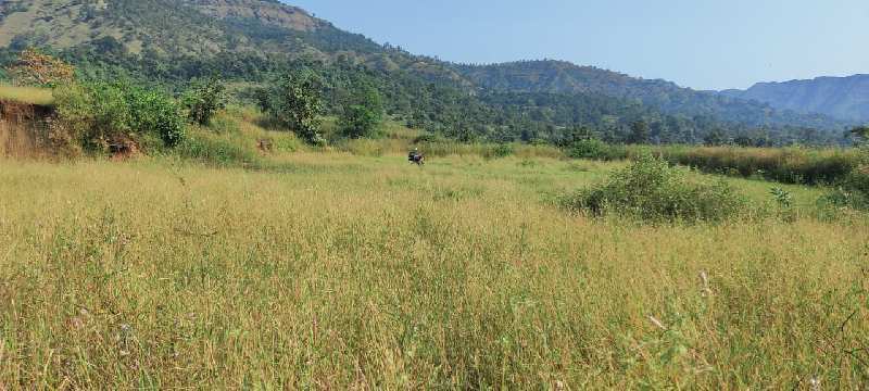 2.75 acres agriculture land for sale near Morbe Dam, at Khalapur.