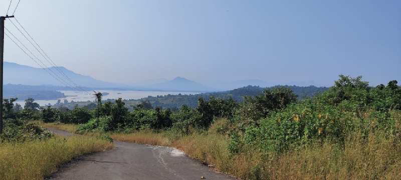 2.75 acres agriculture land for sale near Morbe Dam, at Khalapur.
