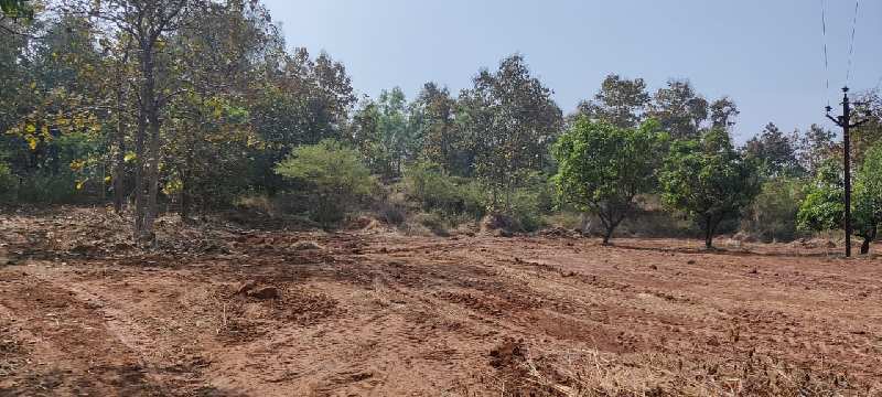 Canal Touch Mountain View  land with trees for sale At Village Vaijinath, Karjat.