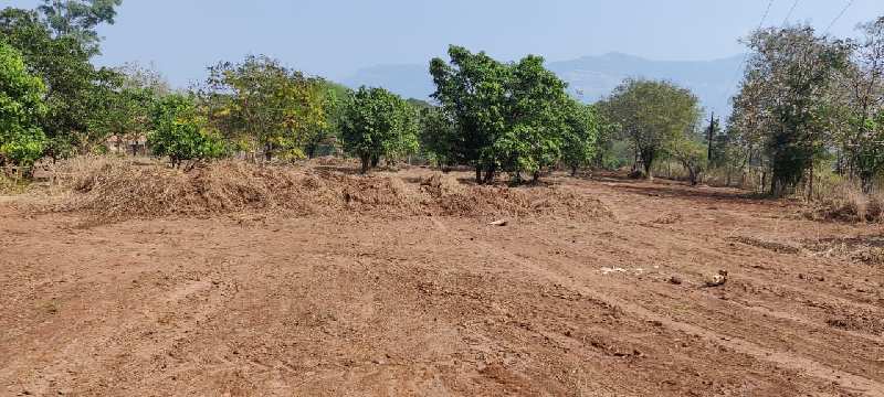 Canal Touch Mountain View  land with trees for sale At Village Vaijinath, Karjat.