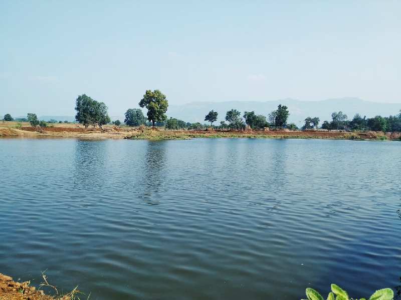 Lake touch 30 guntha agriculture land for sale at village Bhaliwadi, Karjat.