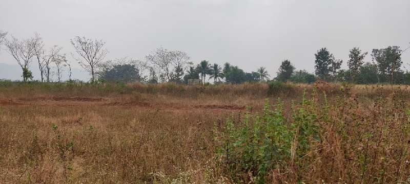 1 Acre Table land for sale at Village Tadwadi, Neral.