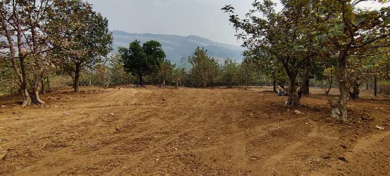 Canal touch 1 to 5 acre Mountain view land for sale in Karjat.