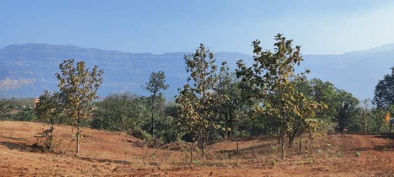 4.5 Acre Mountain & Valley View Land for Sale At Village Jambrung, Karjat.