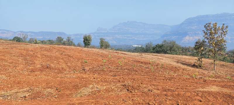 4.5 Acre Mountain & Valley View Land for Sale At Village Jambrung, Karjat.