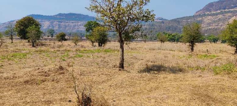 Mountain view  5 acre Table land for sale at Near Radisson Blu Resort, Karjat.
