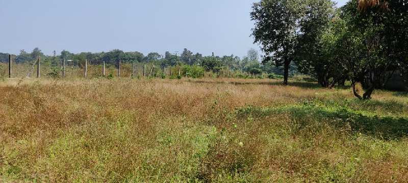 Rivertouch Agriculture land for sale just 2 km from Karjat.