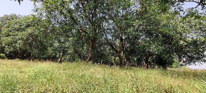 Rivertouch Agriculture land for sale just 2 km from Karjat.