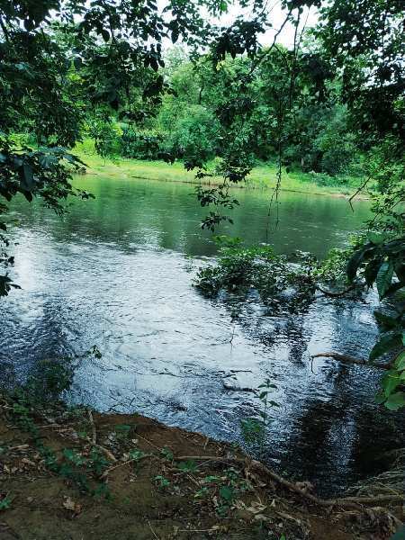 12 month flowing rivertouch 56 guntha agriculture land for sale in Karjat.