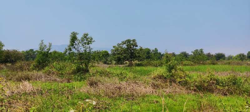 Lake view  2 Acre agriculture land for sale just 7 km from Karjat.