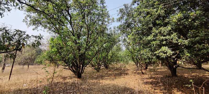 6 Acre land with trees for sale 4 km From ND Studio, Karjat.