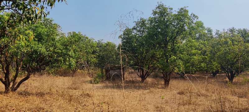 6 Acre land with trees for sale 4 km From ND Studio, Karjat.