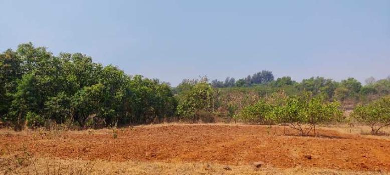 1 Acre Land for sale in Agriculture society, Karjat-Chowk road.